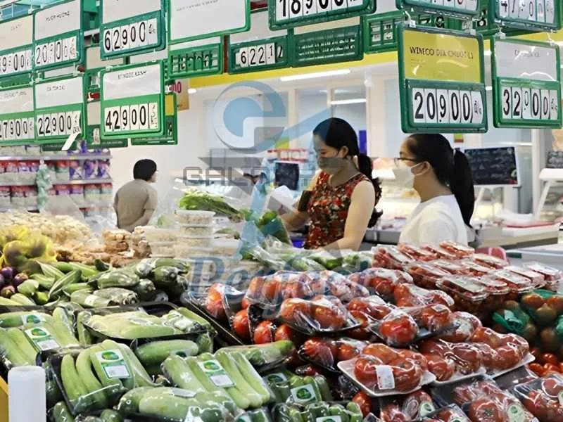 Giới thiệu dự án